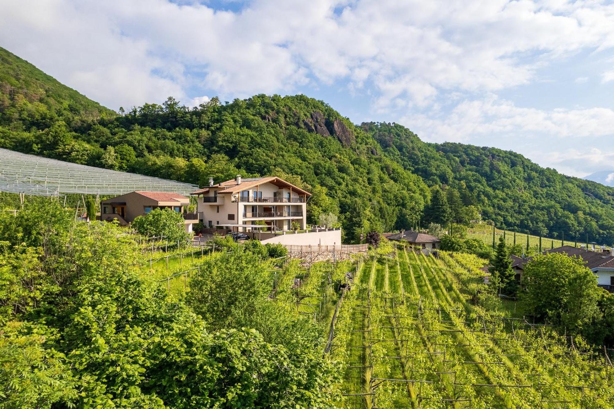 Apartmán Apfelhof Termeno Exteriér fotografie